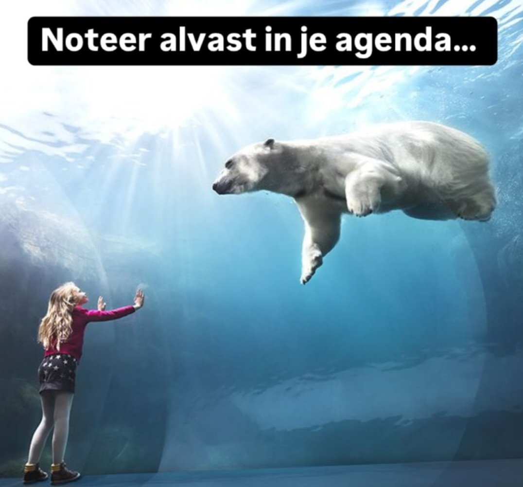 ZooinsideNL tweet media