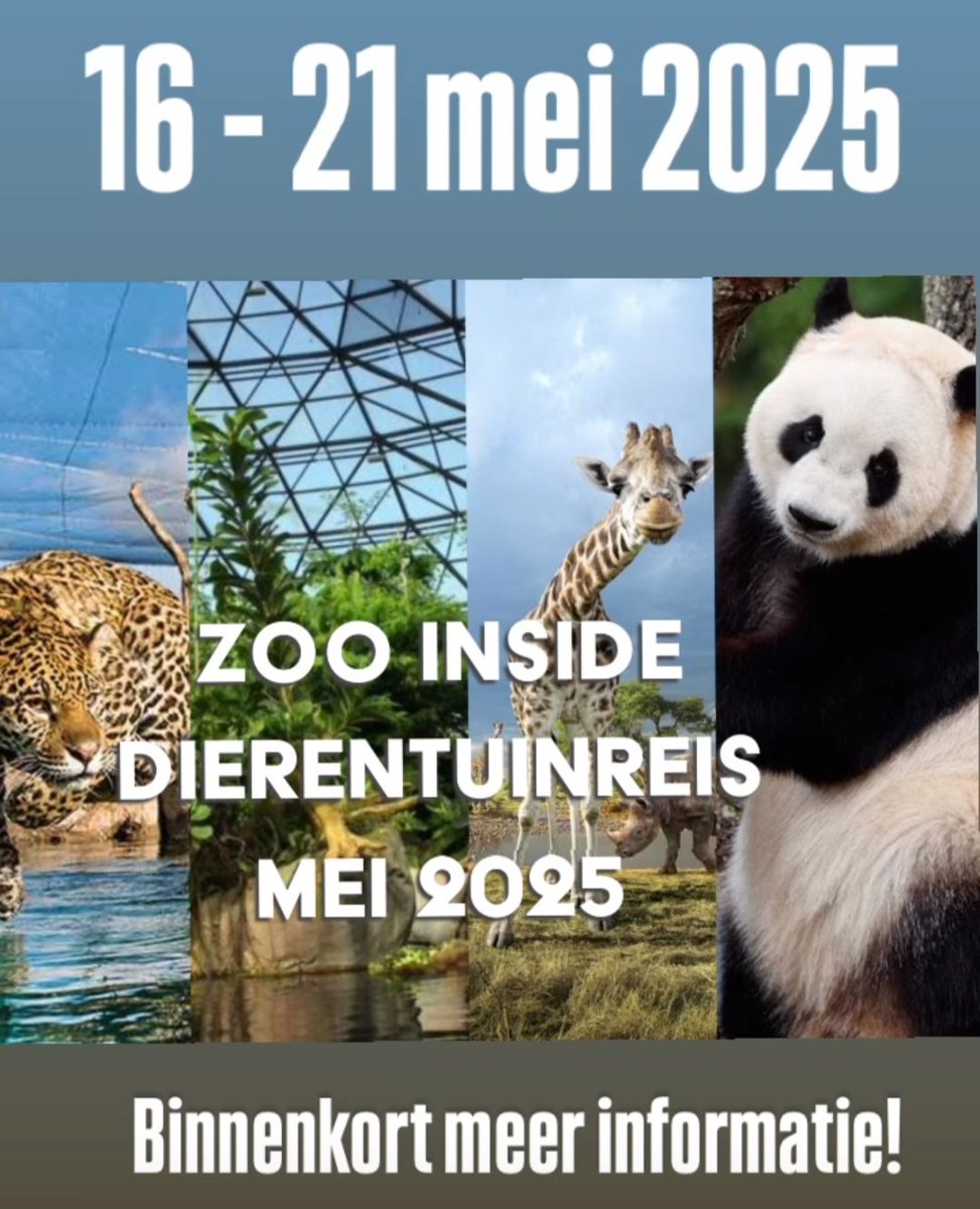 ZooinsideNL tweet media