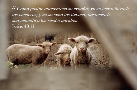 #16DomingoTO
✅ Mientras los apóstoles están preocupados por la cantidad de cosas que han hecho (ὅσα), Jesús busca un lugar solitario (ἔρημος τόπος) para poder descansar.
✅ A la hora de resolver el conflicto en la gestión del tiempo y el espacio (cuándo, cómo y dónde estar y