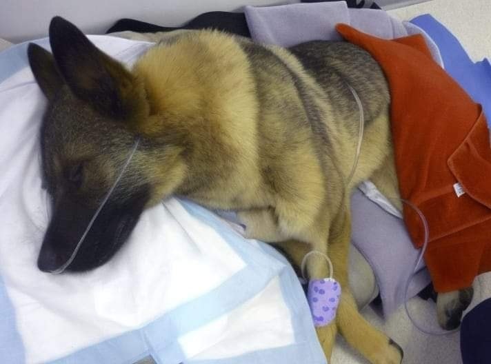 I am very sick 😷 🥺 Please Pray for me 🙏🙏