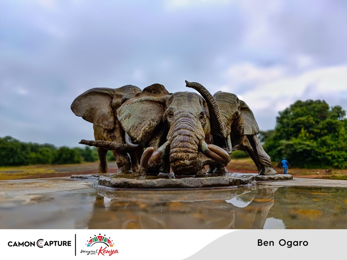 TECNOMobile254's tweet photo. CAMON CAPTURE Winning Submissions Shot On CAMON by our one of our outstanding participants.
#camoncapture #shotoncamon #tembeakenya #magicalkenya https://t.co/F2hzm6g72O