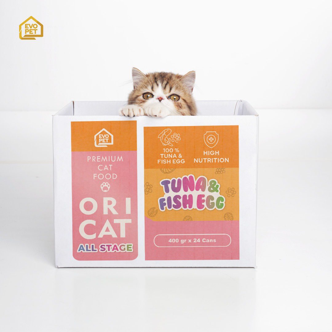 Lifecat | Biocat | Oricat tweet media