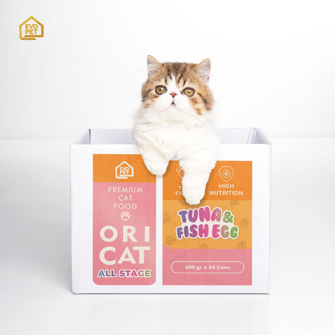 Lifecat | Biocat | Oricat tweet media