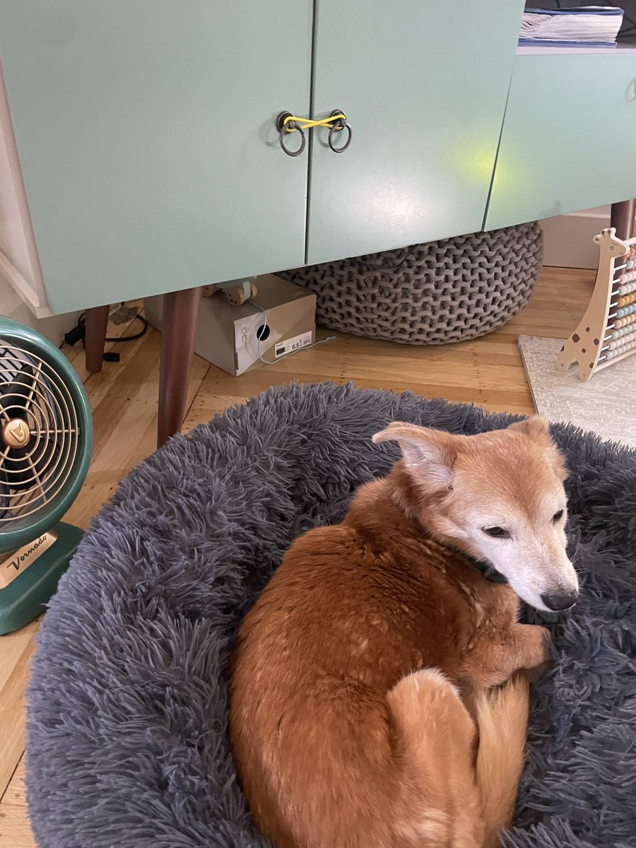 אדי ווסר tweet media