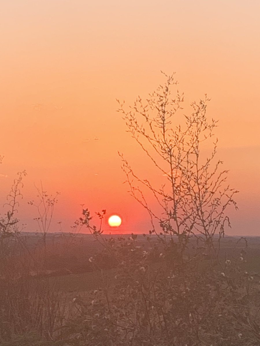 L’été dans le Gers …se déguste !  
Immensité et spectacle garantis pour une parenthèse méritée ! 
#lemasbastide
