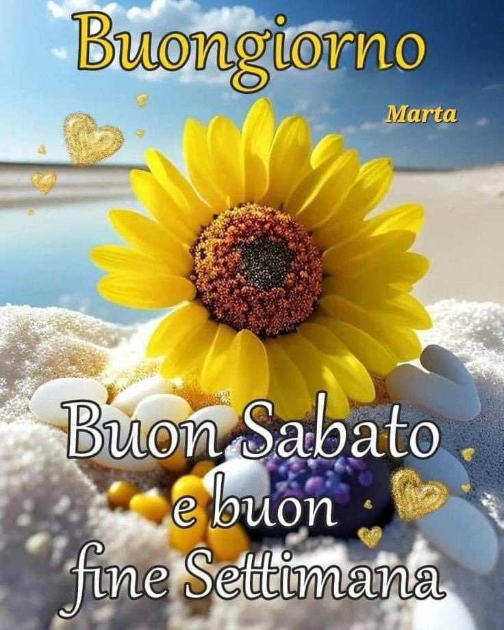 RITABIANCHi56 tweet media