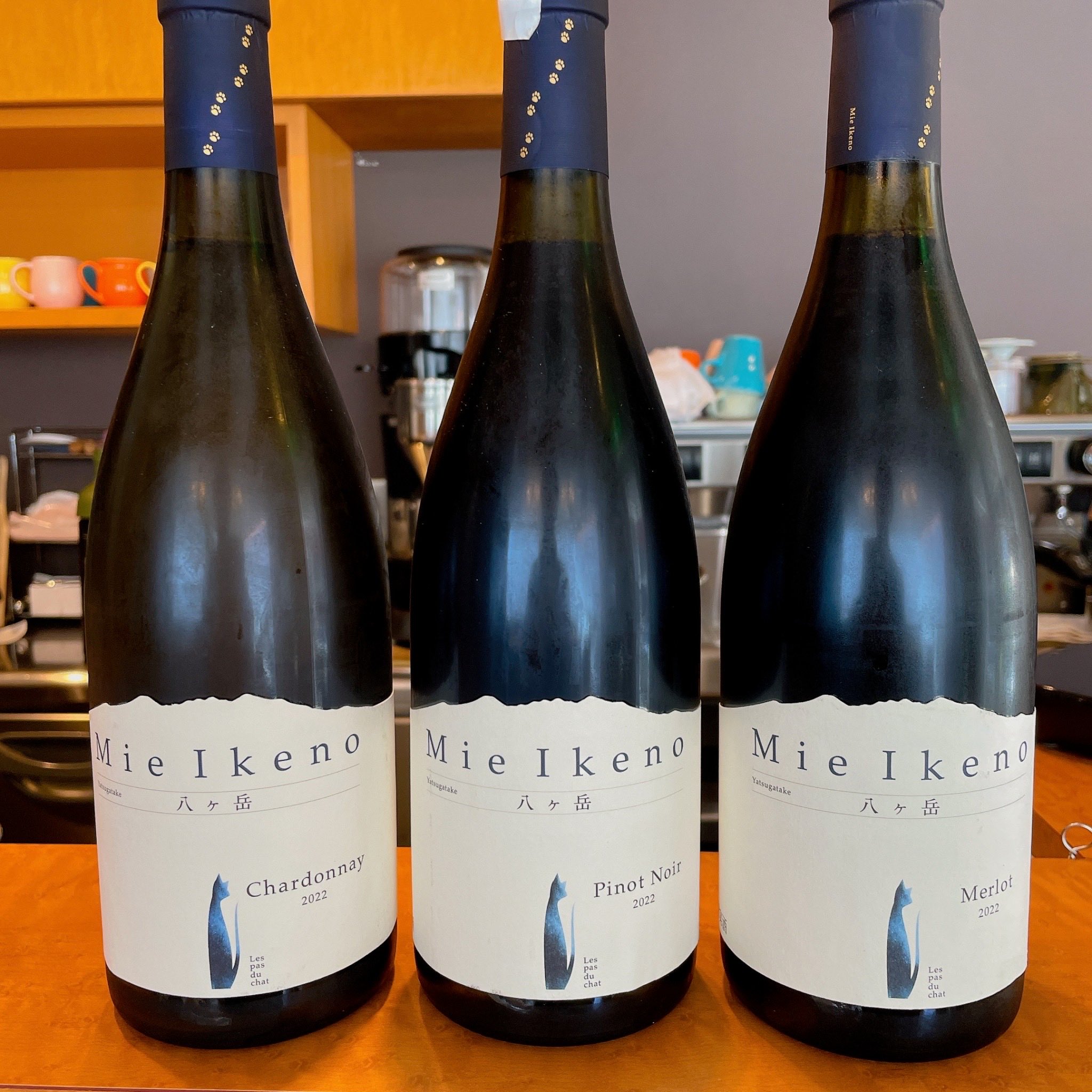 ミエイケノ メルロー&ピノノワール 2022 ２本セット ミエイケノ メルロー&ピノノワール 2022 2本セット ミエ イケノ2022