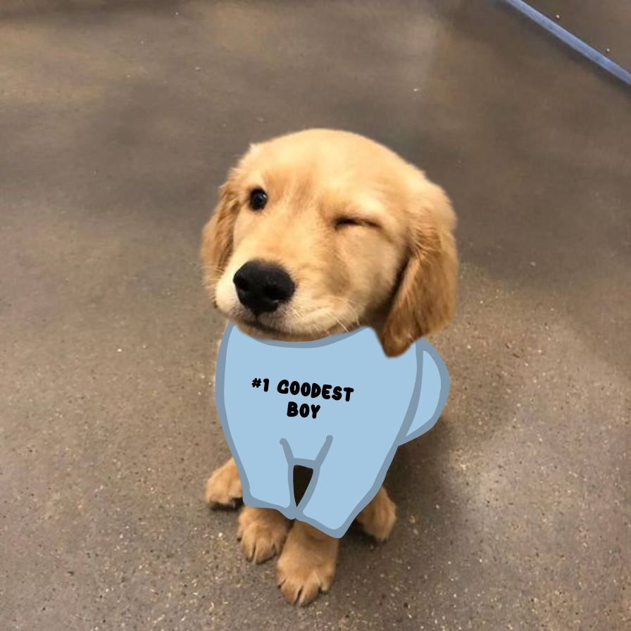 GOLDY tweet media