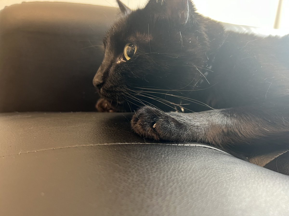 Jaydee 🐰 tweet media