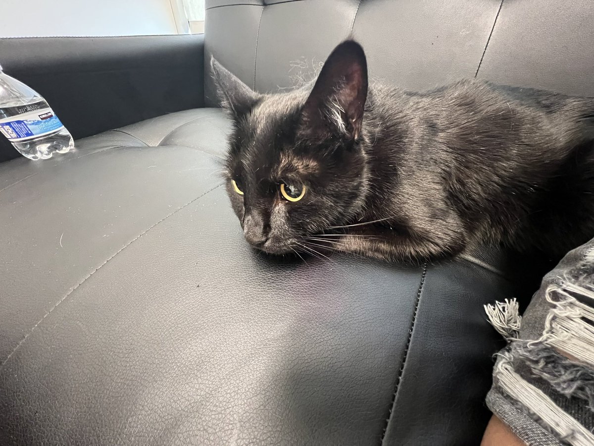 Jaydee 🐰 tweet media