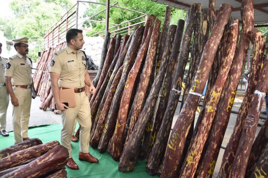 Ojas_Cult's tweet photo. @PawanKalyan Cops of Yerraguntla Urban PS arrested 4 #RedSander smugglers at Prodduturu-Yerraguntla Rd near Potladurthi village.
Seized 158 red sander logs,mini lorry,tractor&a motor cycle of worth 1.91 cr.
Forest Minister @PawanKalyan 🔥
#JSPMLAsOnDuty https://t.co/Agij6L46NG
