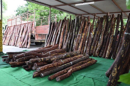 Ojas_Cult's tweet photo. @PawanKalyan Cops of Yerraguntla Urban PS arrested 4 #RedSander smugglers at Prodduturu-Yerraguntla Rd near Potladurthi village.
Seized 158 red sander logs,mini lorry,tractor&a motor cycle of worth 1.91 cr.
Forest Minister @PawanKalyan 🔥
#JSPMLAsOnDuty https://t.co/Agij6L46NG