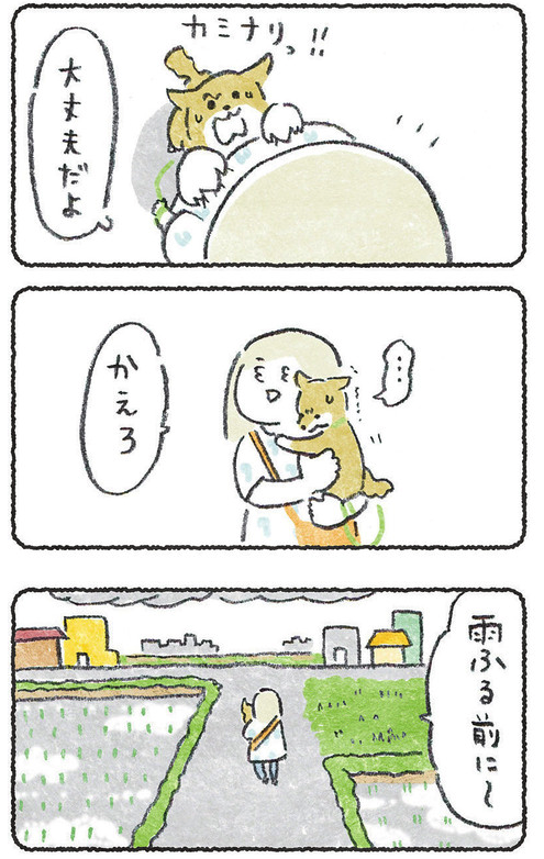 梅雨の合間にある空気 