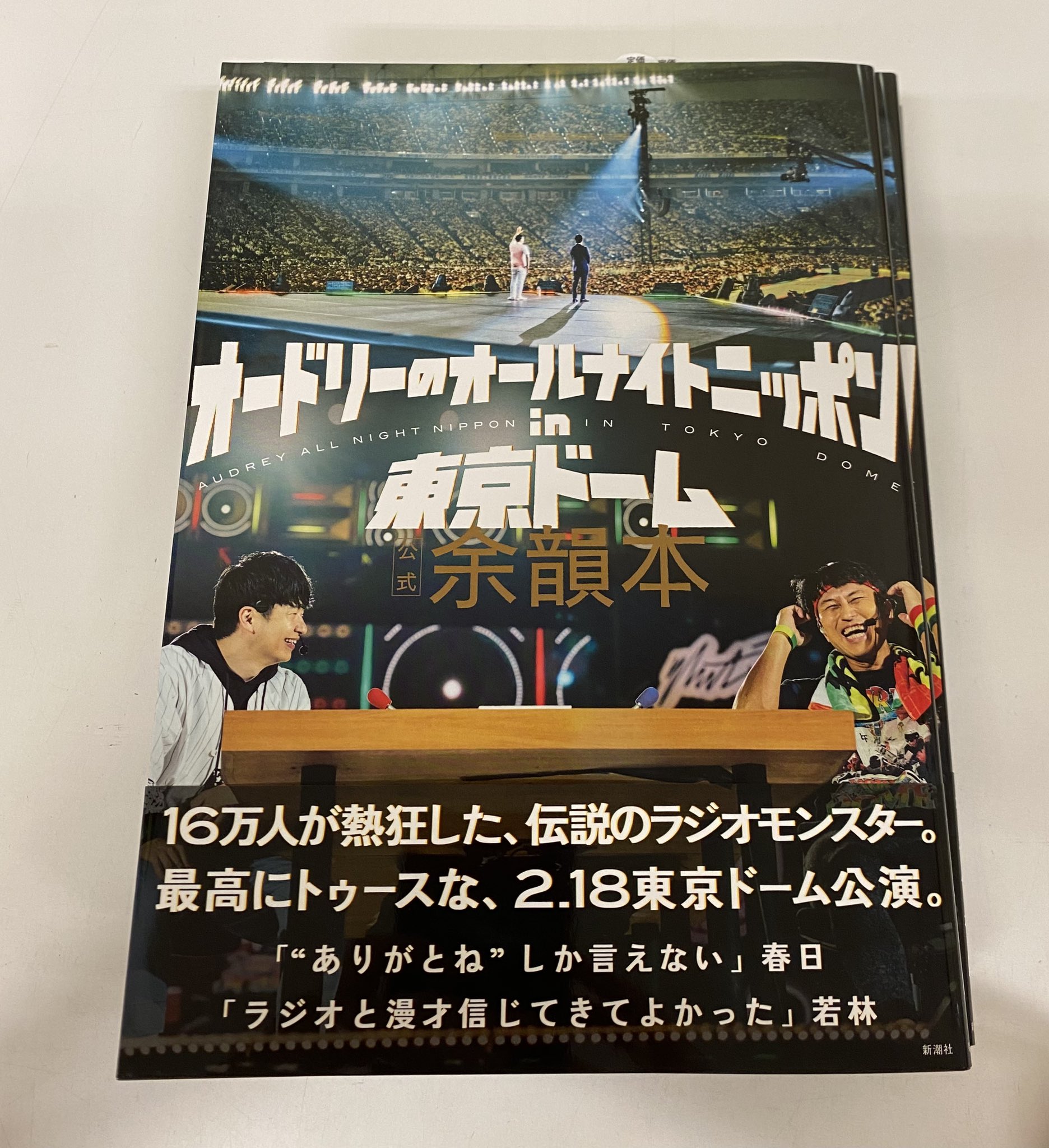 【メーカー直送】 オードリー 大修館書店（大人気 カイロ オールナイトニッポン 温熱用品