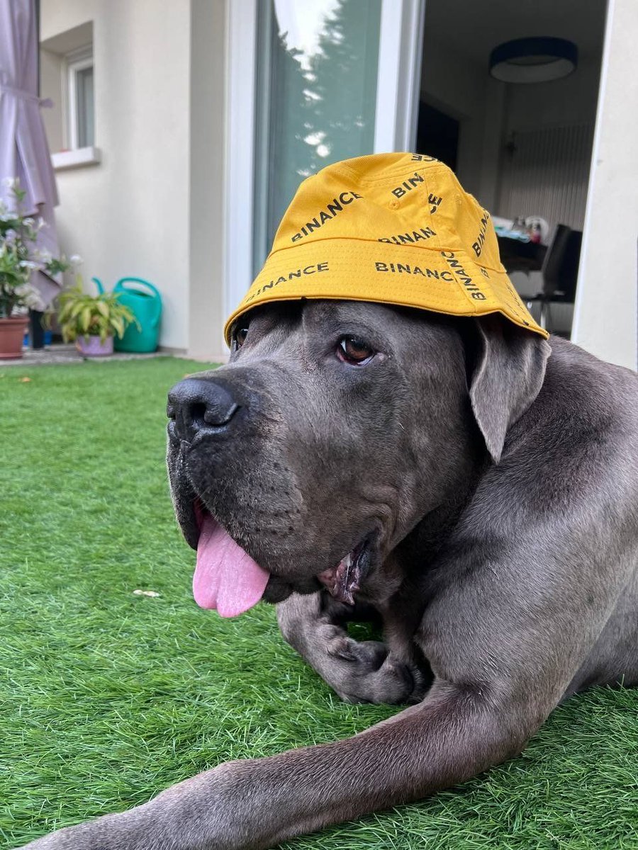 Slaying the hat game!