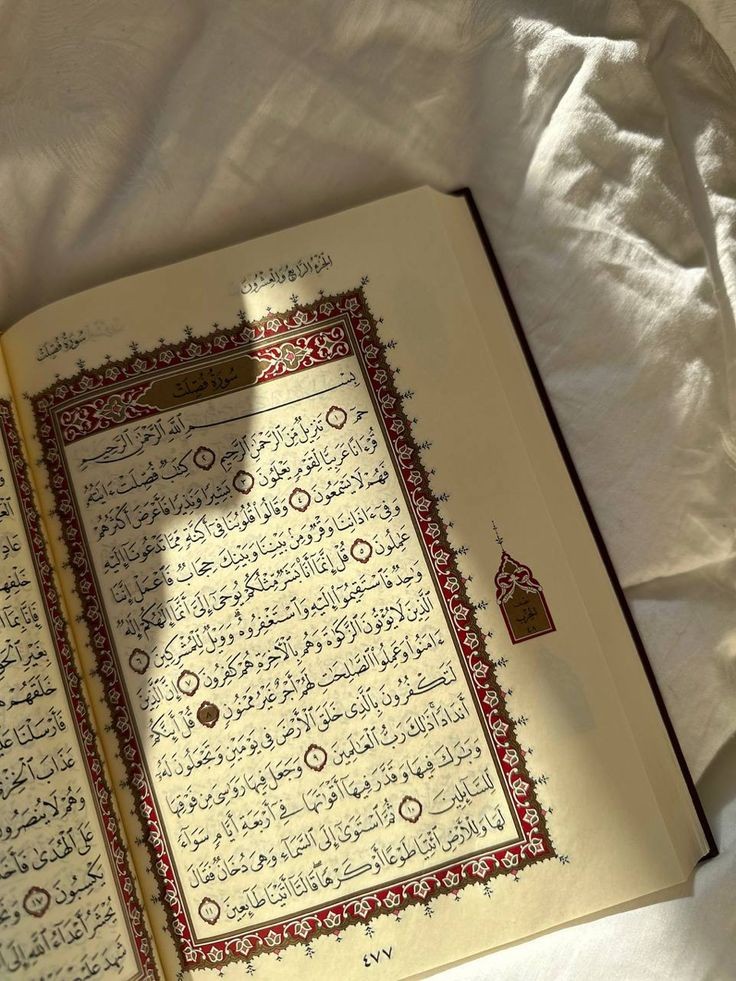 fatmazzzehraa's tweet photo. "Gerçek bir dost olarak Allah yeter."

4/Nisâ/45 https://t.co/7hM4ed5mCC