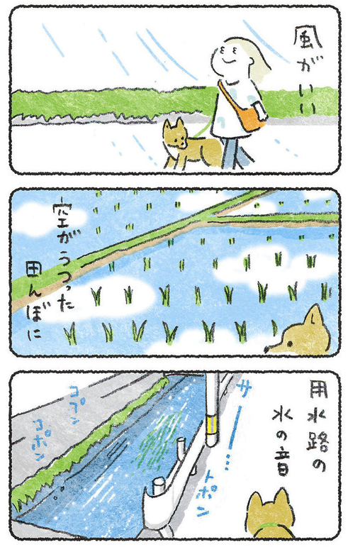 梅雨の合間にある空気 