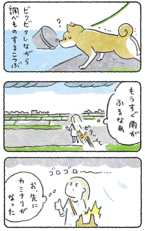 梅雨の合間にある空気 