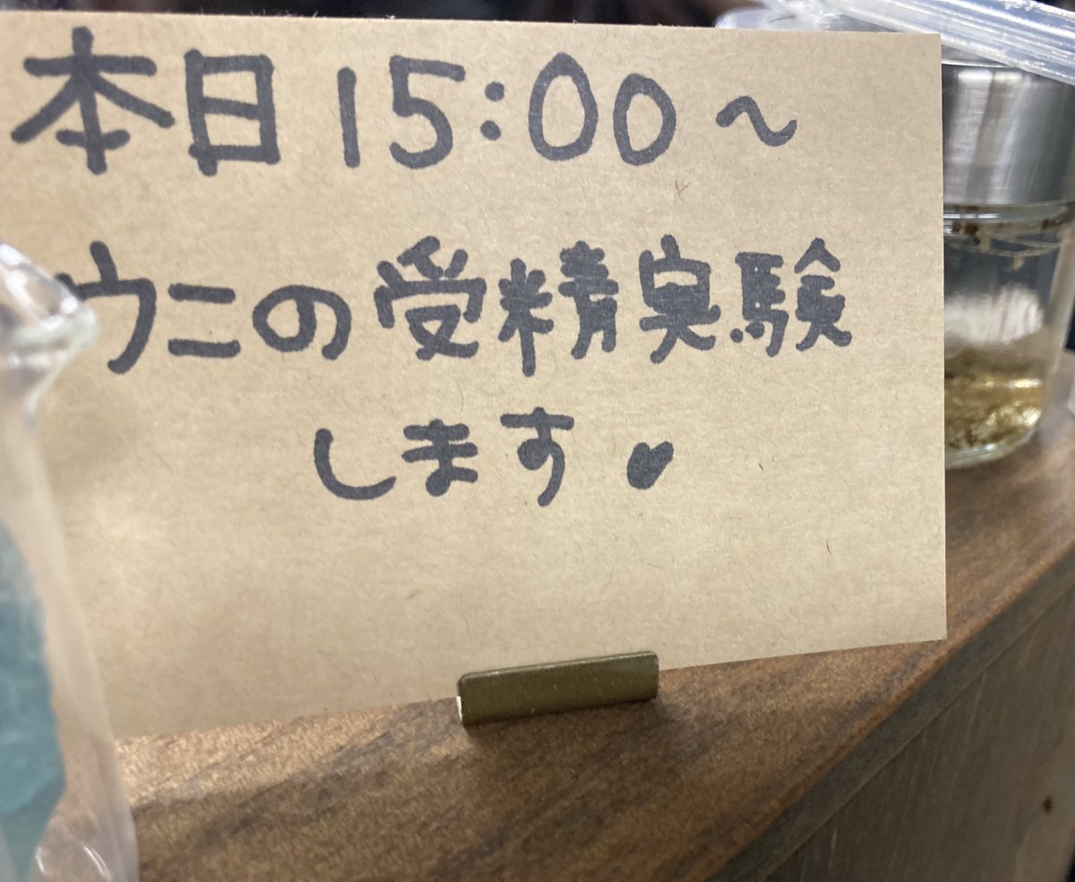 BlackSheep_CC's tweet photo. 実験を始めました。
#博物ふぇすてぃばる https://t.co/Y6NVJi7Xnn