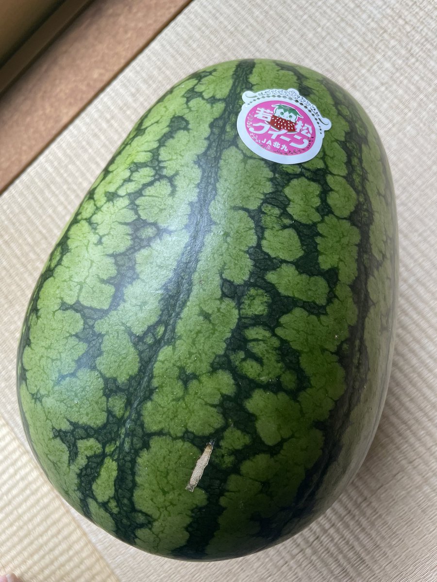 Wakappa0's tweet photo. 若松の珠玉のスイカ！若松クイーンの季節なんだね〜
ずっしり重いのを選んで、大事に持って帰ってほしいんだね〜 https://t.co/cUYEdk8wgG