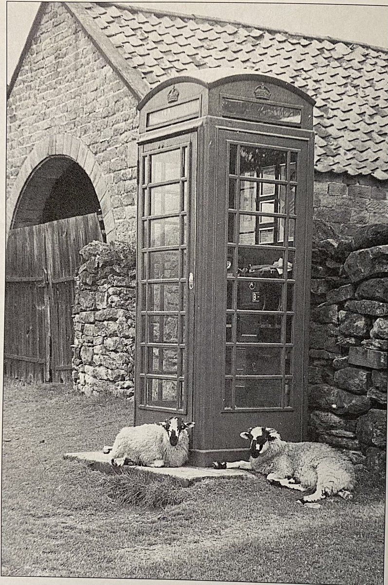 BElliottAuthor's tweet photo. Waiting for the call.
#TelephoneBoxSaturday https://t.co/irwNdQISwG