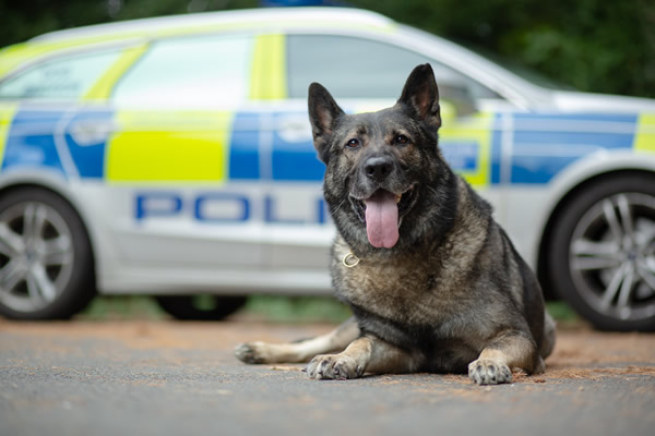 LeeAndersonMP_'s tweet photo. It's Your Money.

What would you spend it on given the choice?

More highly trained dogs to help control the rabble on our streets or some rainbow shoelaces? https://t.co/lp23MYiVHP