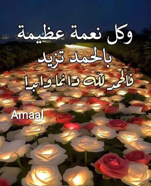akiluno_a's tweet photo. الحمد لله الذي أوحى إلى عبده أن كل همٍ يصيبنا هو مُكفِّر لذنوبنا.🤲

الحمد لله أن آلام النفس لا تذهب سدى، وأن أوجاع الجسد تحطُّ عنا سيئةً، وأن الشعور بالغربة يرفعنا درجةً، وأن طول الطريق يقربنا إليه شبرًا.🤲

الحمد لله الذي يكتب في صحائفنا وخزة الإبرة، ومرارة الدواء، ورعشة الجسد.🤲

الحمد لله الذي يأجرنا بفراق الأحِبَّة، وإحباط النفس، وكسرة القلب، وقصر اليدين.🤲

الحمد لله أنه يعلم، ولا يطمئنني شيءٌ في هذه الدنيا إلا أنه يعلم.🤲