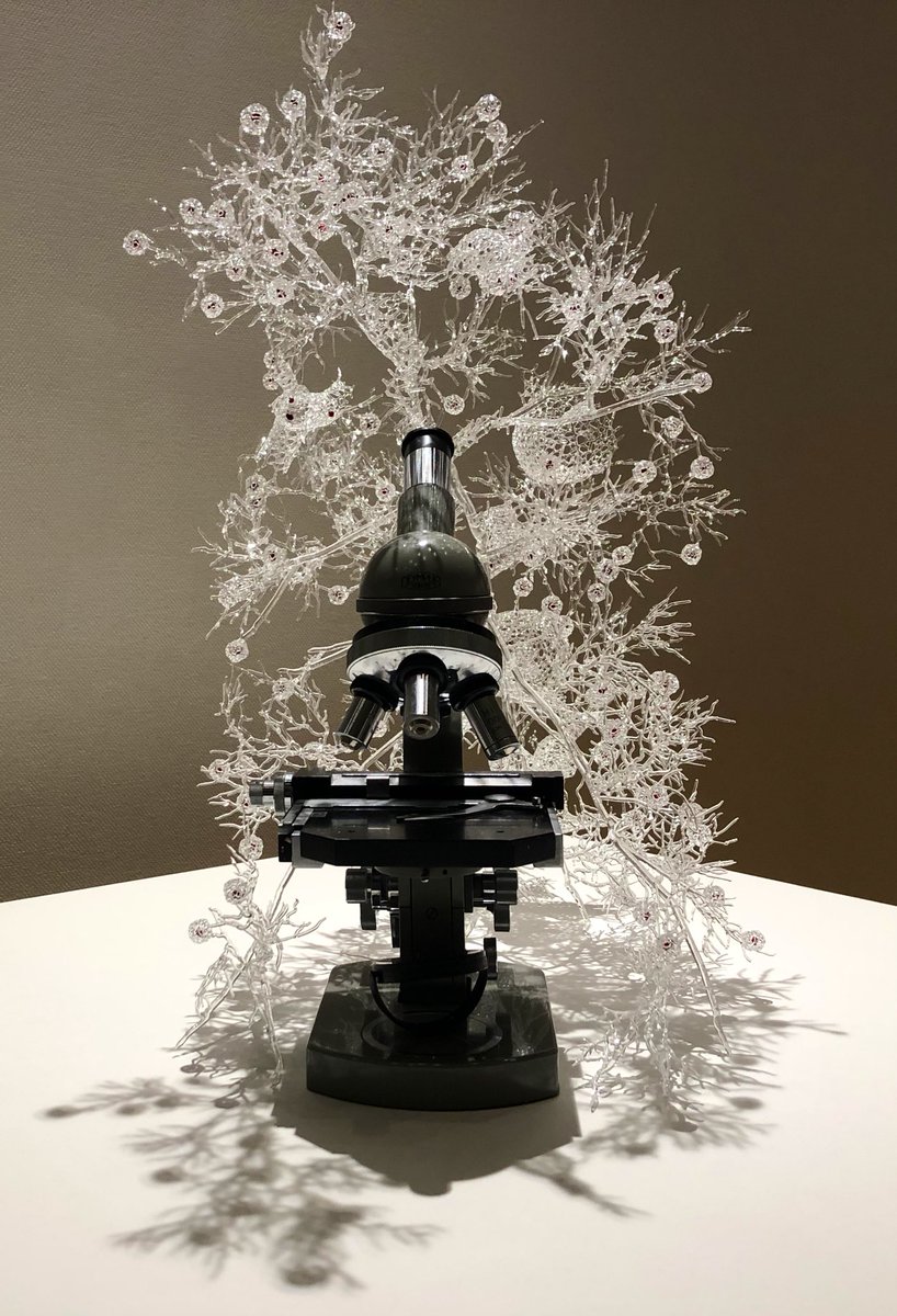 Marcos Guimaraes (@mhdguimaraes) on Twitter photo Had a great time in Toyama at the <a href="/metaconference/">META Conference</a> on metamaterials and photonics. It was great to learn a little more of photonics and chat with some colleagues from all around. The glass museum was also fantastic! Now for my summer vacation around Japan! Had a great time in Toyama at the <a href="/metaconference/">META Conference</a> on metamaterials and photonics. It was great to learn a little more of photonics and chat with some colleagues from all around. The glass museum was also fantastic! Now for my summer vacation around Japan!