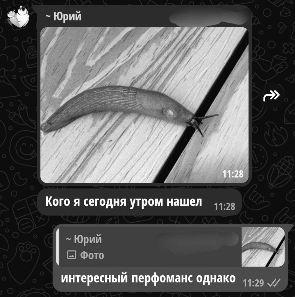 мутный омут tweet media
