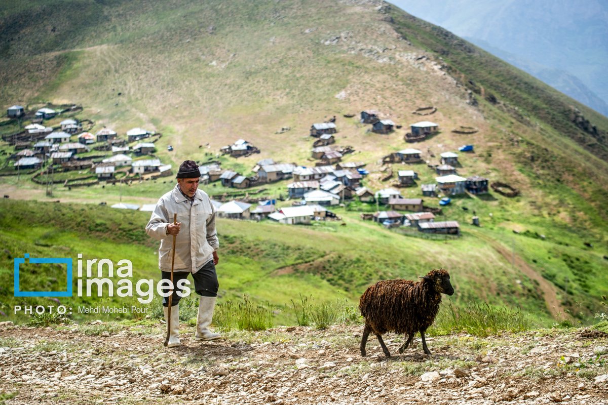 IrnaImages's tweet photo. ییلاق در کوهستان
.
Yaylak in mountains
Photo: Mehdi Mohebbi Pour
.
https://t.co/5O98Uqo7o7 https://t.co/jv13YFzsUy