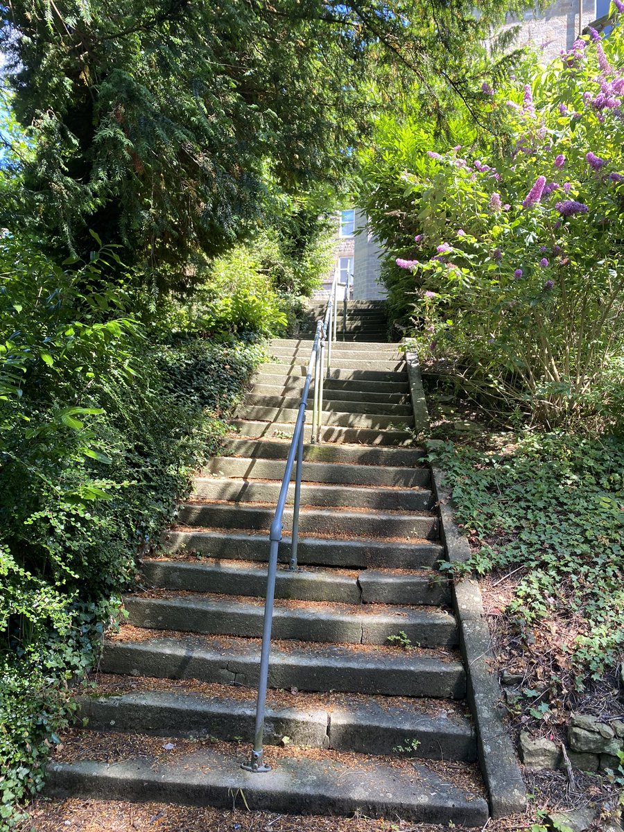 Sharon Read tweet media