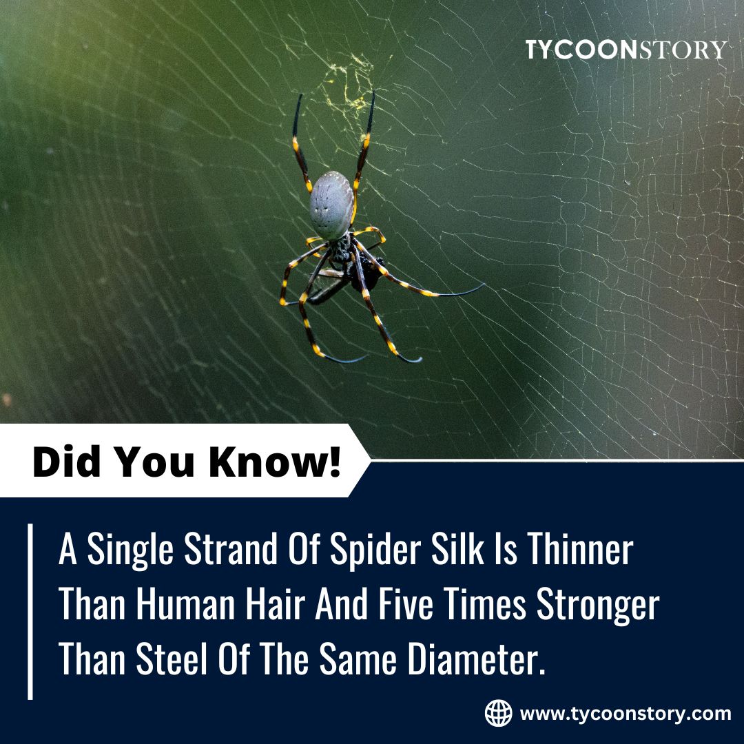 TycoonStoryCo's tweet image. #DidYouKnow 

#strongestmaterial #spidersilk #amazingfacts #Biomaterials #humanhair #StrongestFiber #NatureTech #Biomimicry #superstrong #Bioengineering #Nanotechnology #spidersilkthreads #uniqueproperties #nanotech #Biotechnology 
tycoonstory.com
