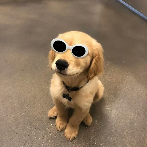 beanvu tweet media