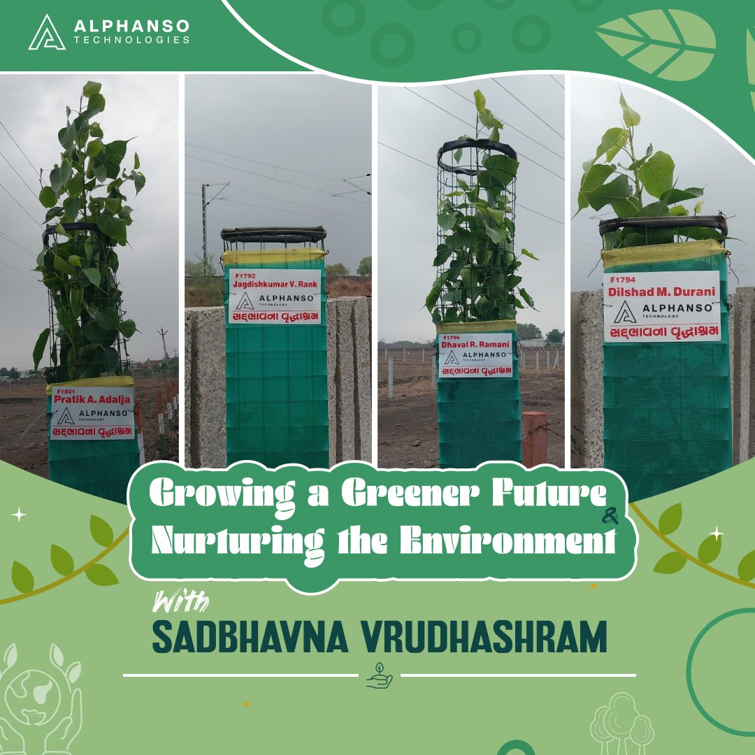 Alphanso Technology tweet media