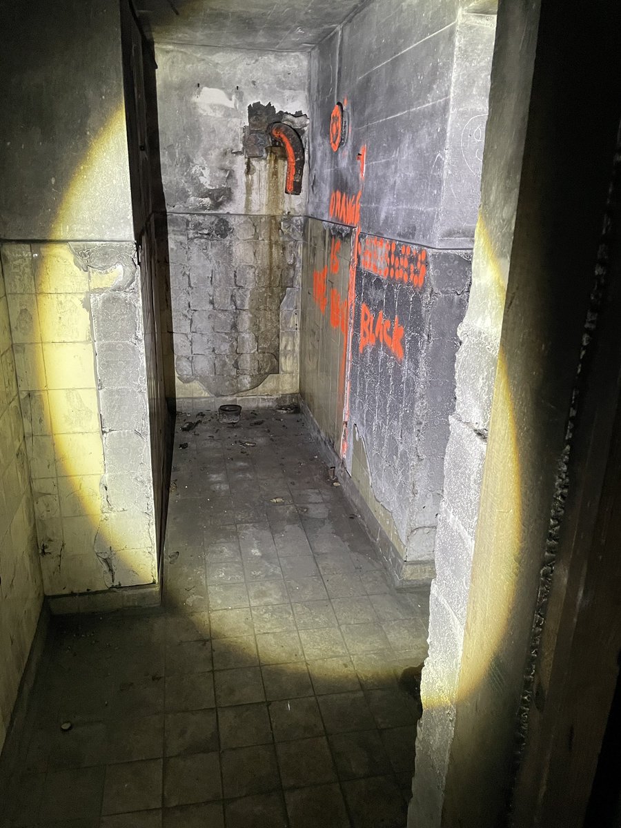 Klaas Meijer tweet media