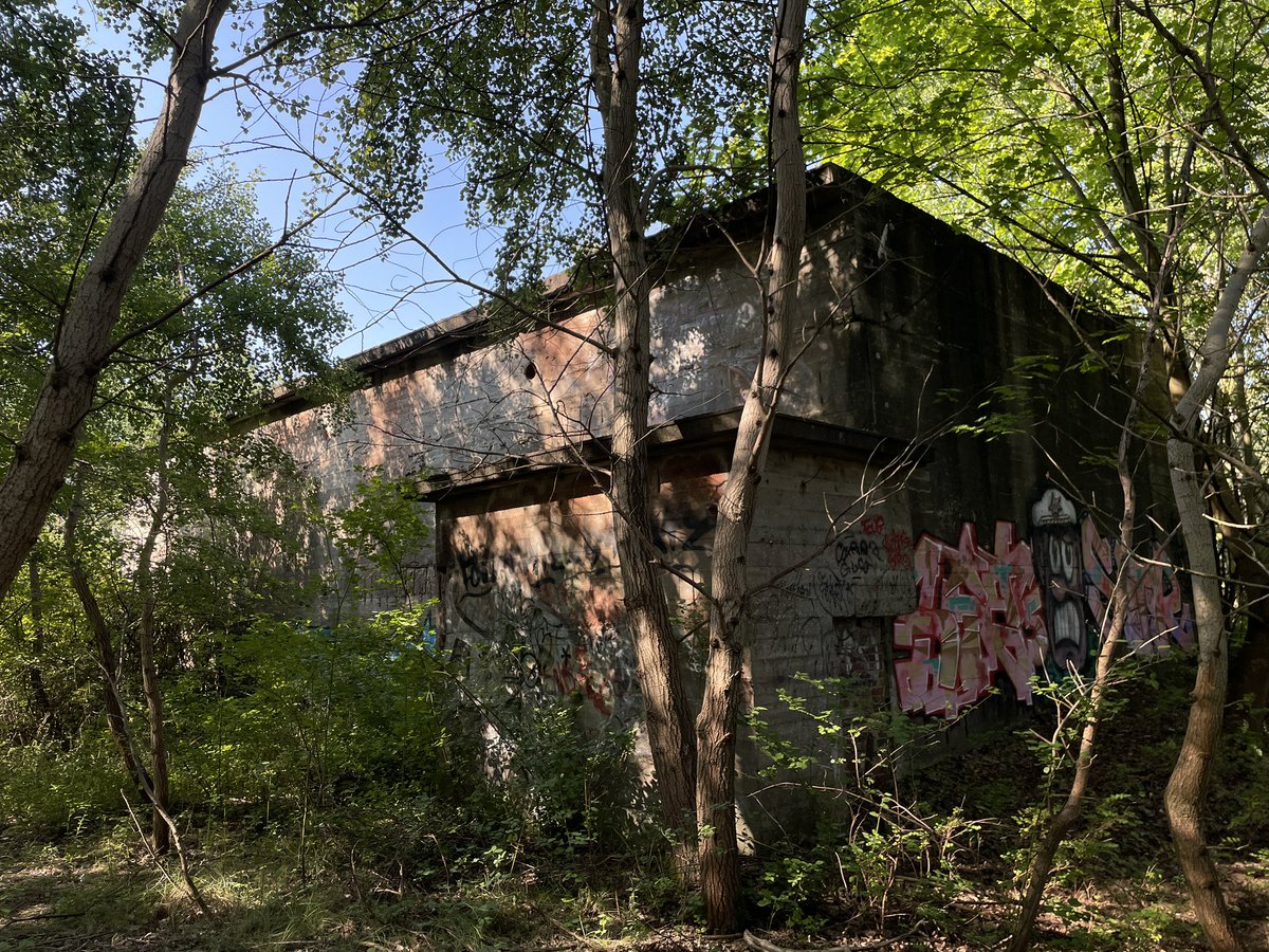 Klaas Meijer tweet media