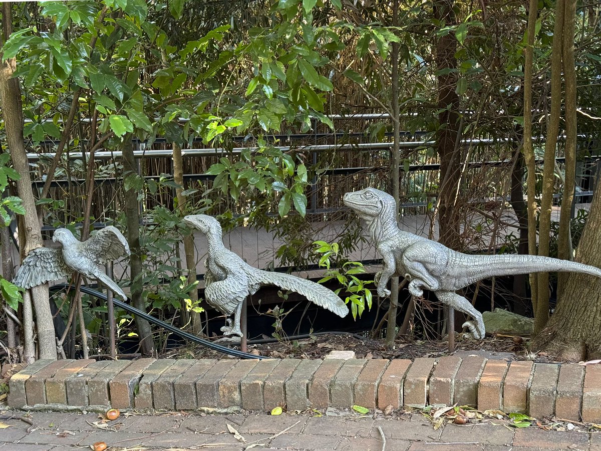 For once, I think evolution got it backwards…

From “tyrant king to budgie” 🦖 🐥