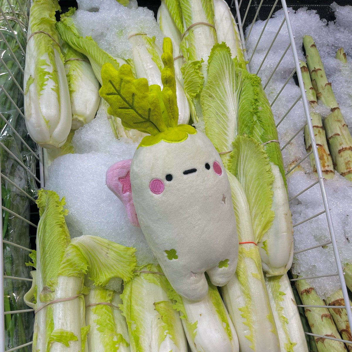 Tiffany Weng tweet media