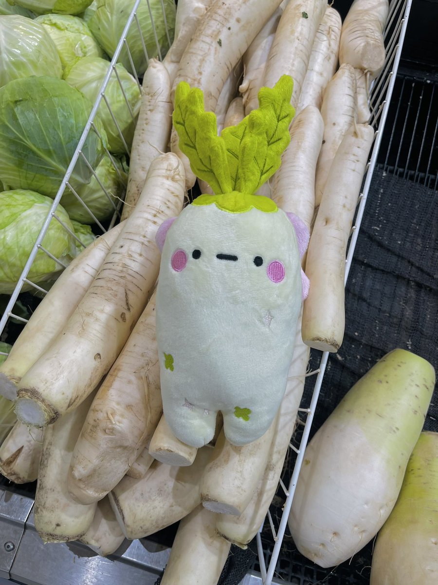 Tiffany Weng tweet media