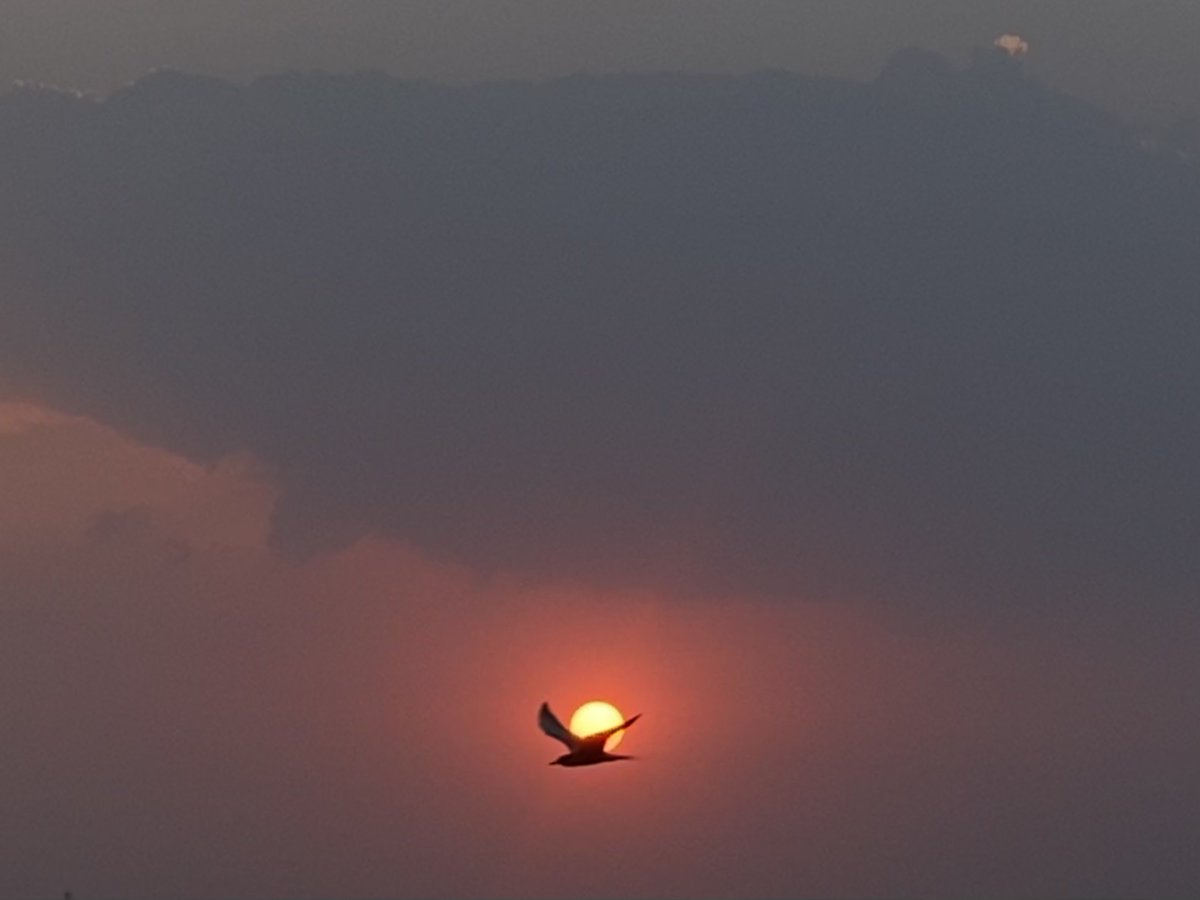 mansebanjaran's tweet photo. Quote tweet with sunset media https://t.co/K5RKTuWtbs