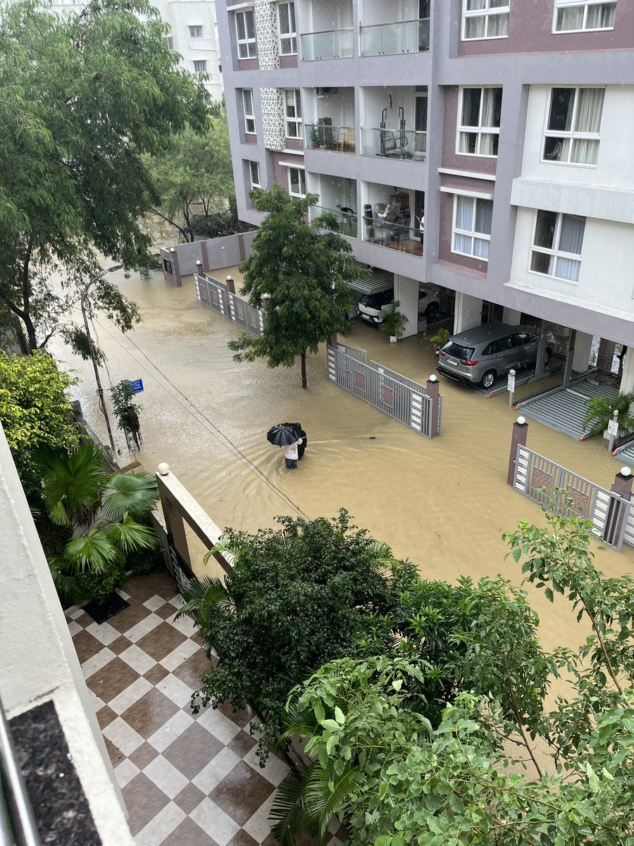 Enigmatic Dreamer tweet media