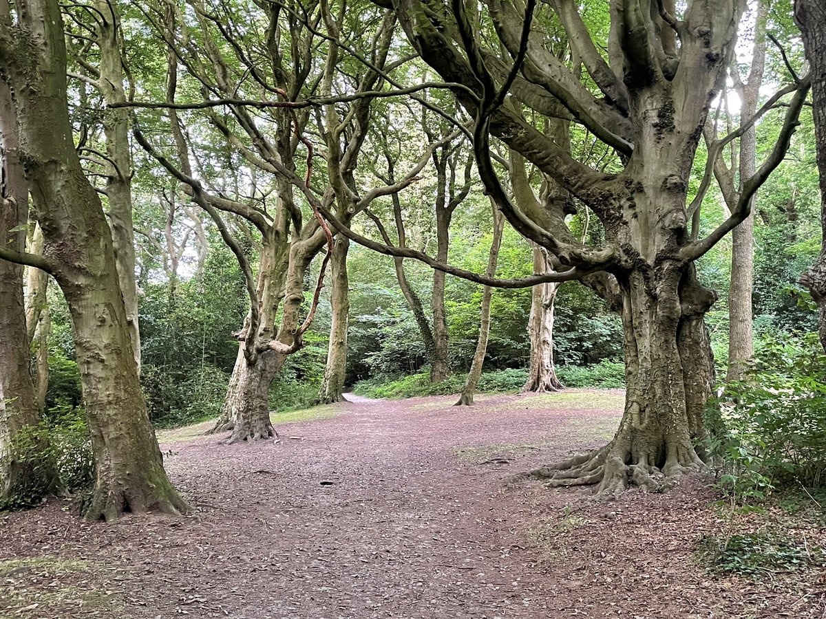 CereProstateCym's tweet photo. Not long now until we start this @ProstateCymru Big Walk. 

We’re starting at the Castle (at 10.30) a, taking a scenic route around the town, end at @RoyalPier 

Route &amp; photos of some things that lie ahead. May not get the same blue skies but the walk, views &amp; chat will be great https://t.co/bUn9fdhOz7