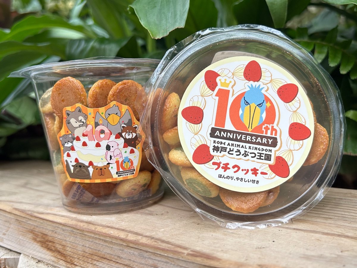 ギフトショップ 【カピー＆バーバラ】にて マヌルネコ親子デザインと