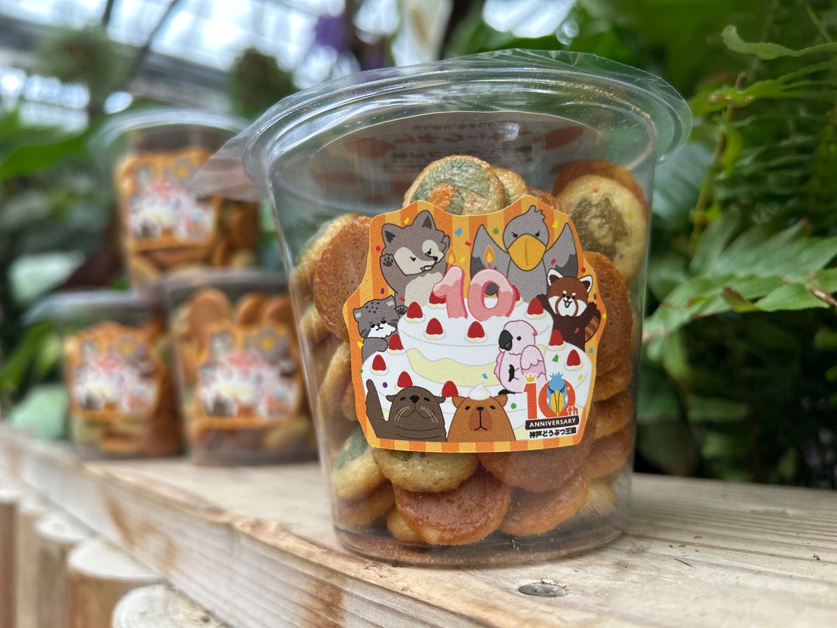 ギフトショップ 【カピー＆バーバラ】にて マヌルネコ親子デザインと