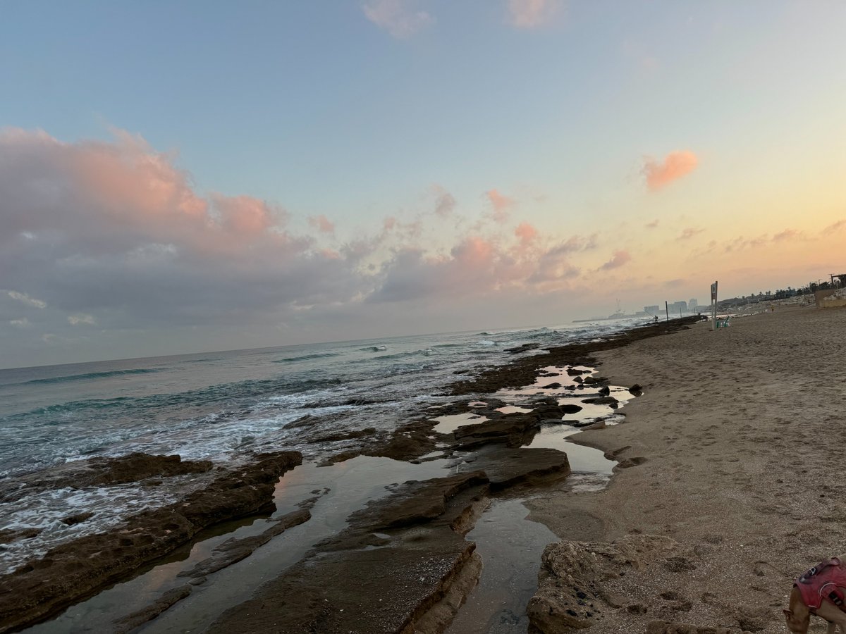 9zebras's tweet photo. https://t.co/479LBGAE5X 

להתפעם בכל פעם
מאותה פיסת ים
תמונות תאומות
עורבים רעבים

קרני שמש טריות
נולדו זה עתה
בלי כתובות על הקיר
סתם בוקר צעיר https://t.co/8kurEJOErs