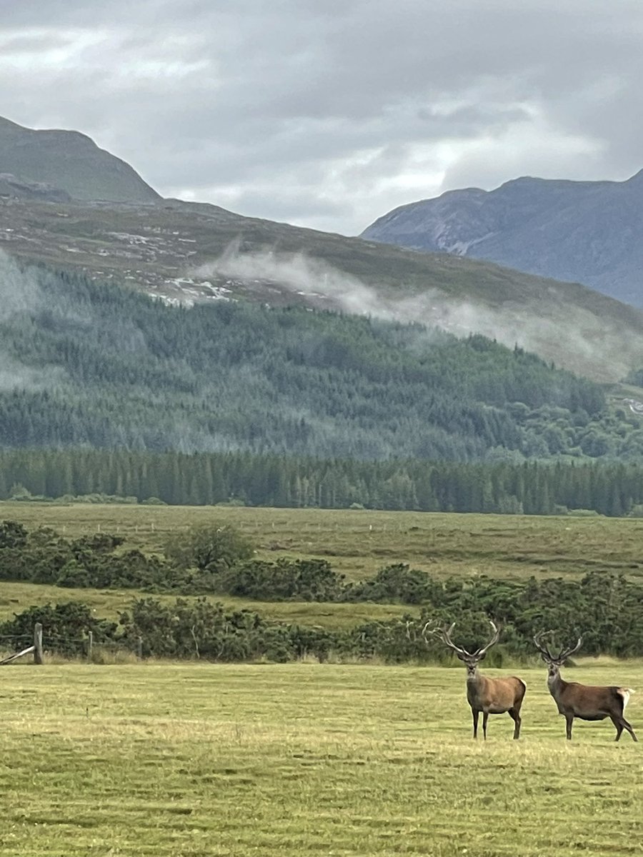 NZPresidentCCNZ's tweet photo. Good morning from the Highlands of Scotland https://t.co/frK3T8fnfz
