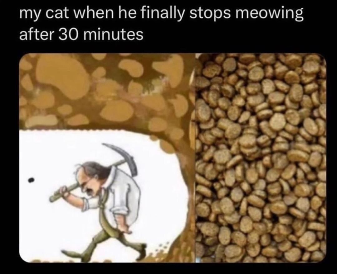 🕐HOURLY🕑 shitpost (@hourly_shitpost) on Twitter photo 