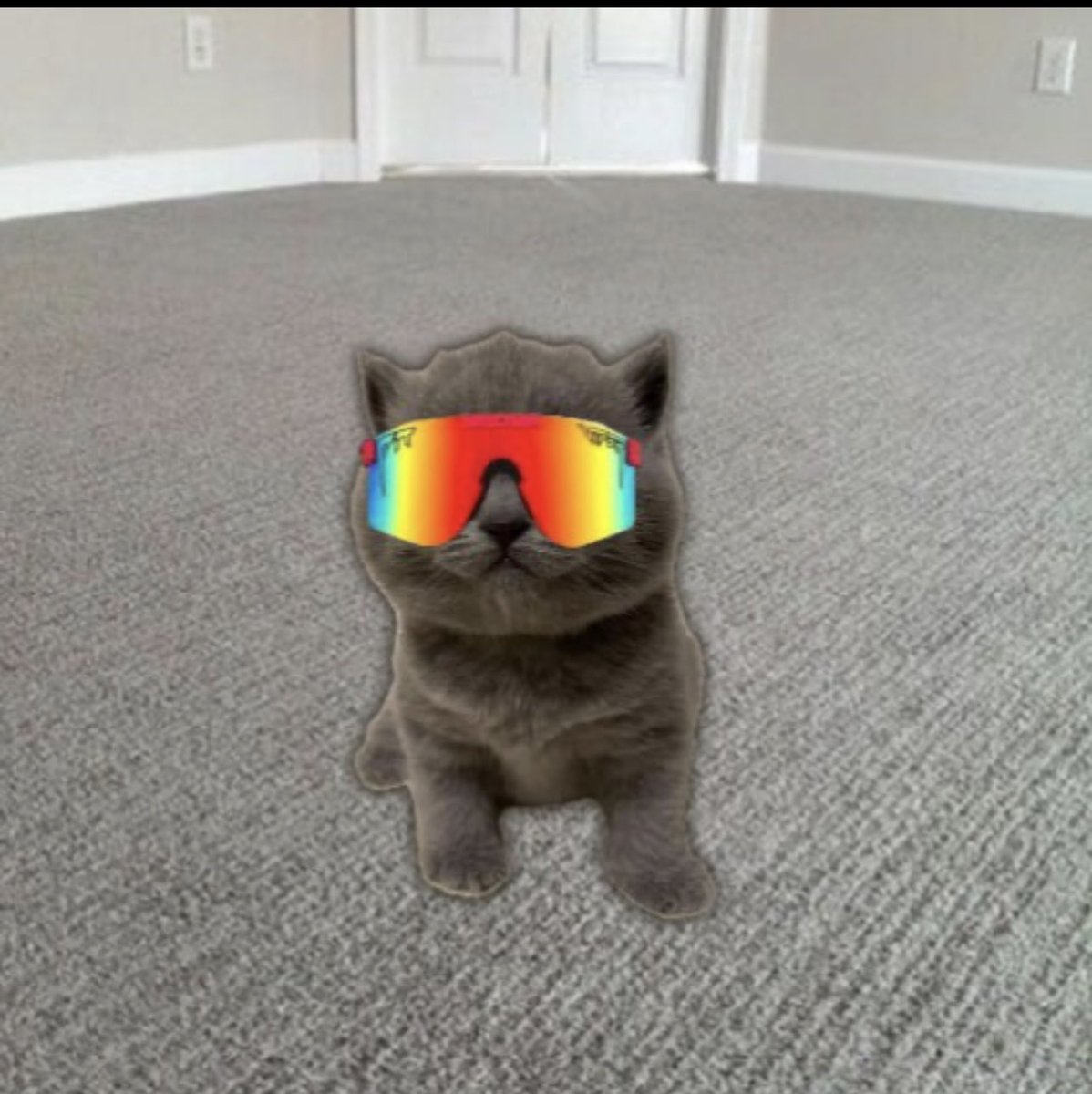 <a href="/blknoiz06/">Ansem</a> Take a shot on $MULA 
@MulaCatCTO 
Shits going to the fucking moon