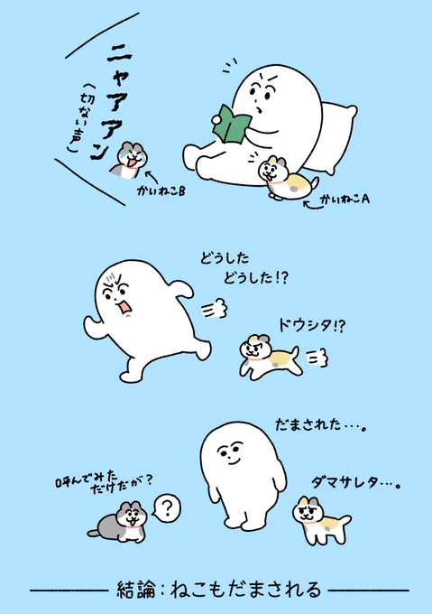切ない声で飼い主を呼ぶねこ② 