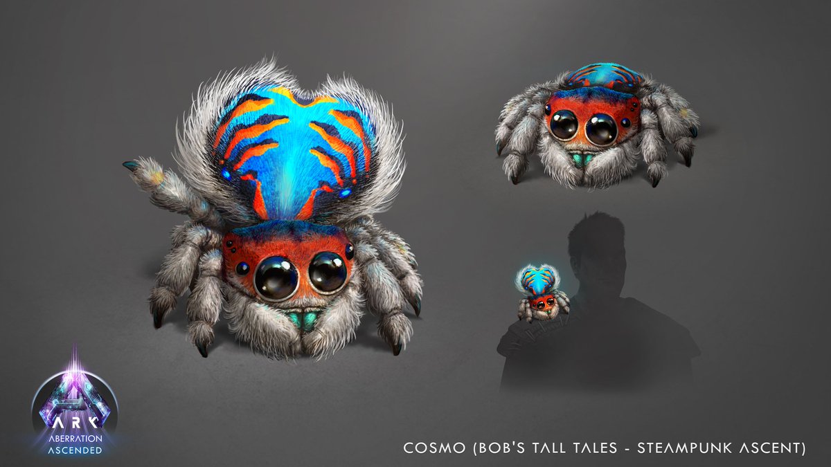 bugeeeeeeee's tweet photo. @KickStreamsLive Look at this cute little gay sorry if you don't like spiders https://t.co/FNhcALJGbP